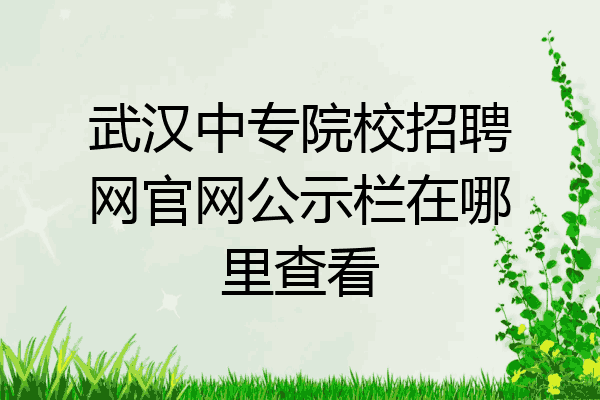武汉中专院校招聘网官网公示栏在哪里查看