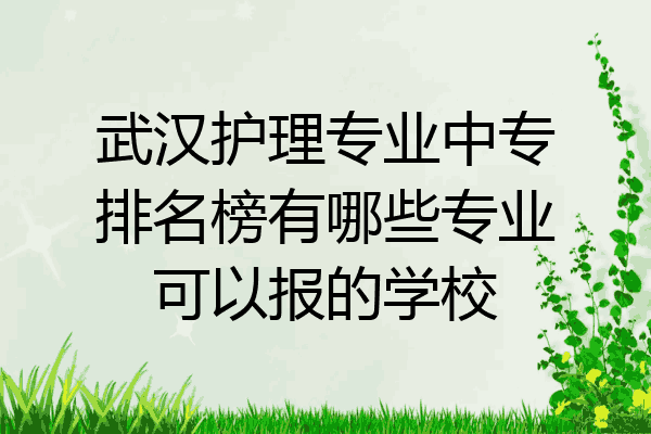 武汉护理专业中专排名榜有哪些专业可以报的学校