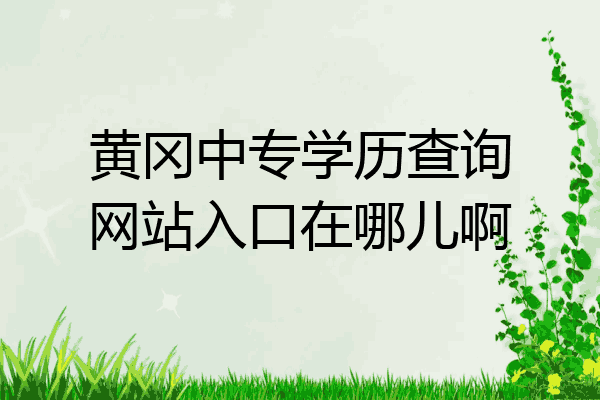 黄冈中专学历查询网站入口在哪儿啊