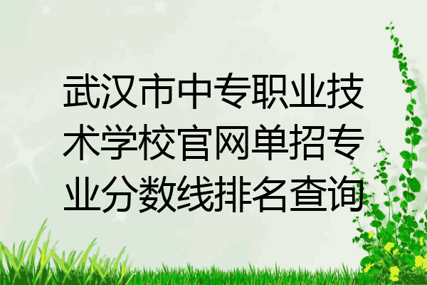 武汉市中专职业技术学校官网单招专业分数线排名查询