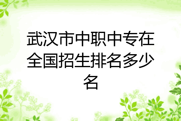 武汉市中职中专在全国招生排名多少名