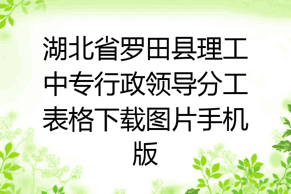 湖北省罗田县理工中专行政领导分工表格下载图片手机版