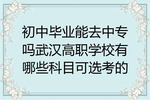 初中毕业能去中专吗武汉高职学校有哪些科目可选考的
