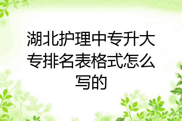 湖北护理中专升大专排名表格式怎么写的