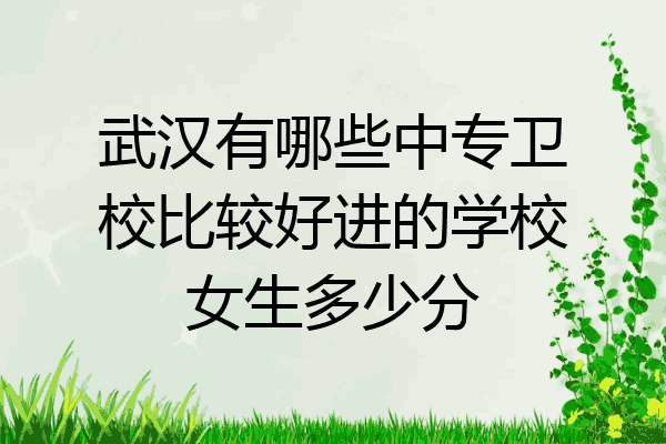 武汉有哪些中专卫校比较好进的学校女生多少分
