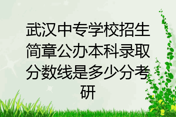 武汉中专学校招生简章公办本科录取分数线是多少分考研