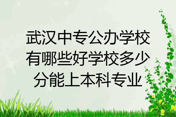 武汉中专公办学校有哪些好学校多少分能上本科专业
