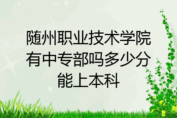 随州职业技术学院有中专部吗多少分能上本科