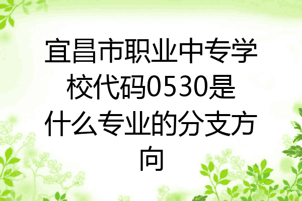 宜昌市职业中专学校代码0530是什么专业的分支方向