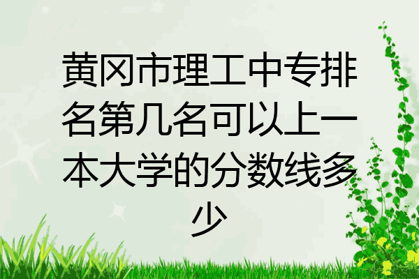 黄冈市理工中专排名第几名可以上一本大学的分数线多少