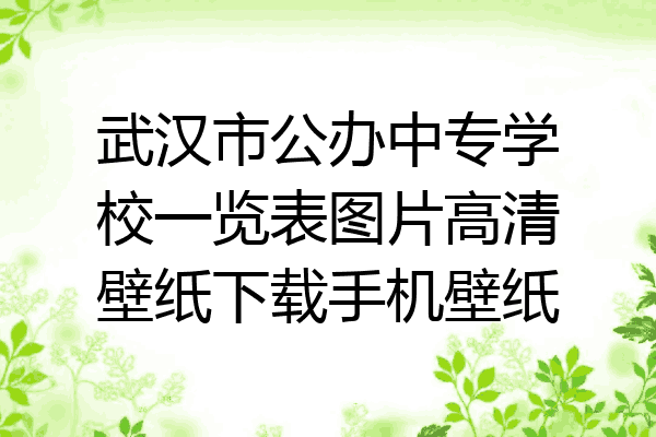 武汉市公办中专学校一览表图片高清壁纸下载手机壁纸