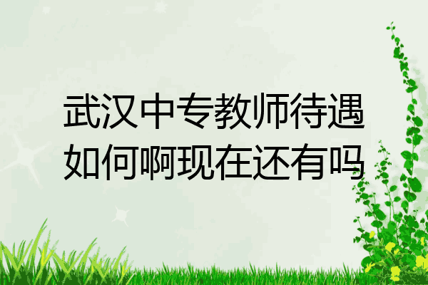 武汉中专教师待遇如何啊现在还有吗
