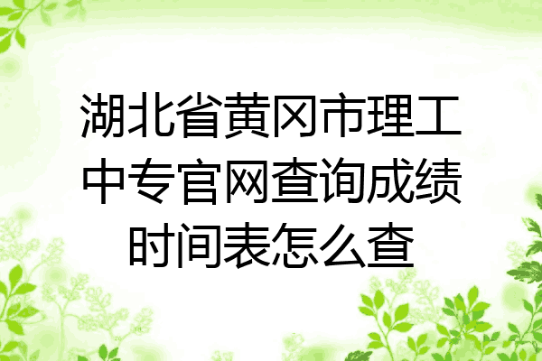 湖北省黄冈市理工中专官网查询成绩时间表怎么查