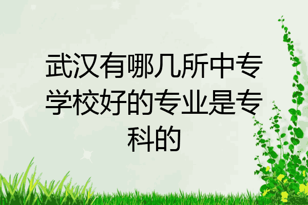 武汉有哪几所中专学校好的专业是专科的