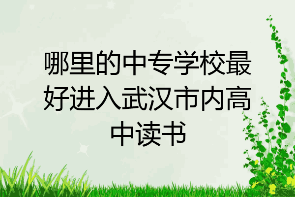 哪里的中专学校最好进入武汉市内高中读书