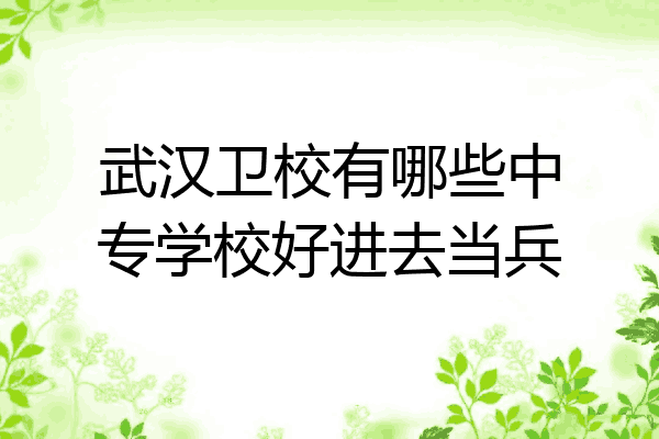 武汉卫校有哪些中专学校好进去当兵