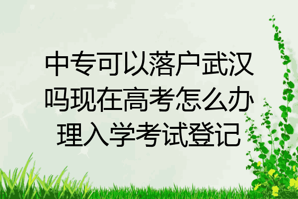 中专可以落户武汉吗现在高考怎么办理入学考试登记