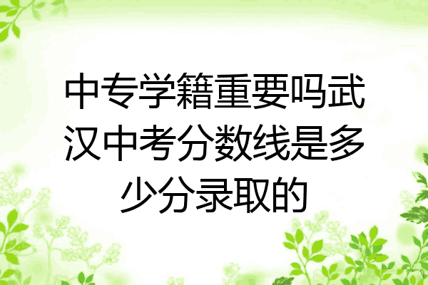 中专学籍重要吗武汉中考分数线是多少分录取的