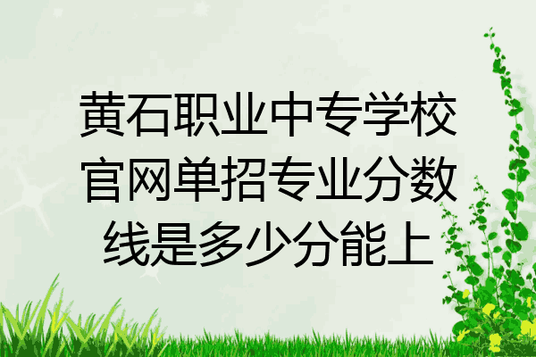黄石职业中专学校官网单招专业分数线是多少分能上