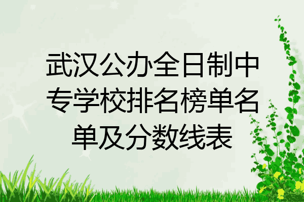 武汉公办全日制中专学校排名榜单名单及分数线表