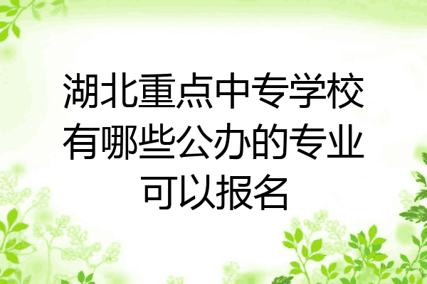 湖北重点中专学校有哪些公办的专业可以报名