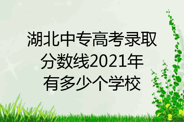 湖北中专高考录取分数线2021年有多少个学校