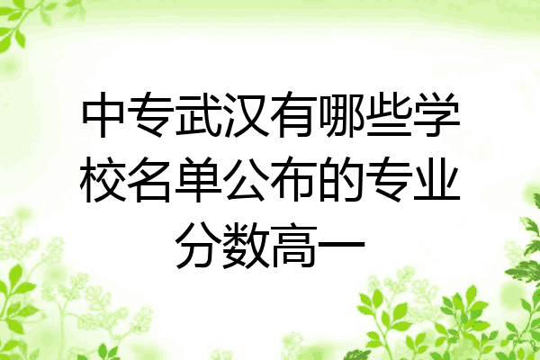 中专武汉有哪些学校名单公布的专业分数高一