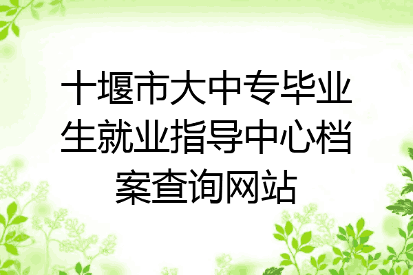 十堰市大中专毕业生就业指导中心档案查询网站