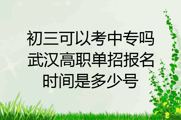 初三可以考中专吗武汉高职单招报名时间是多少号