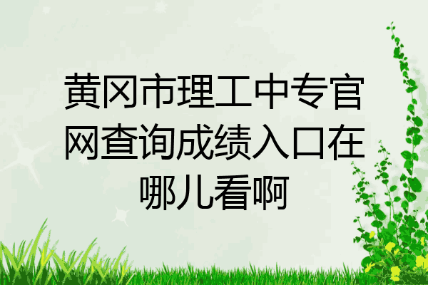 黄冈市理工中专官网查询成绩入口在哪儿看啊