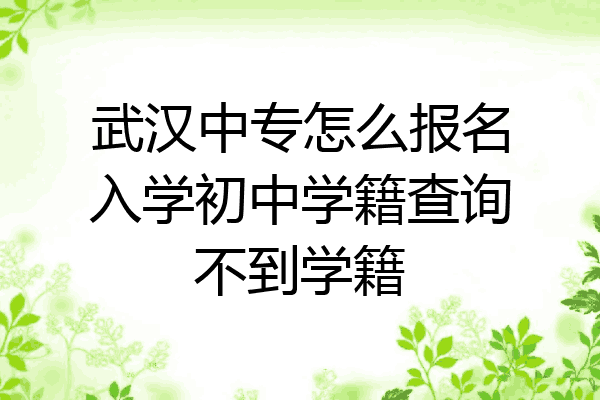 武汉中专怎么报名入学初中学籍查询不到学籍