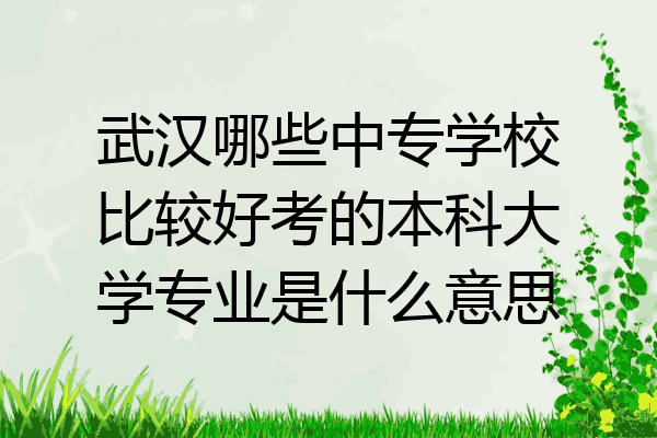 武汉哪些中专学校比较好考的本科大学专业是什么意思