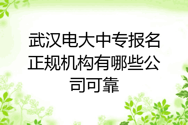 武汉电大中专报名正规机构有哪些公司可靠