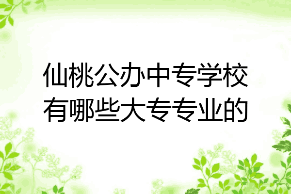 仙桃公办中专学校有哪些大专专业的