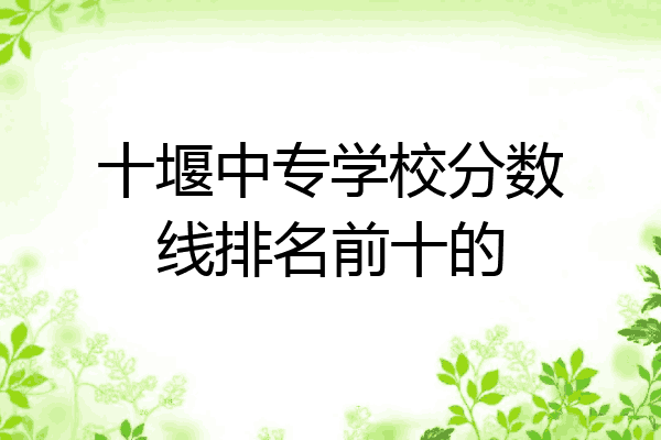 十堰中专学校分数线排名前十的