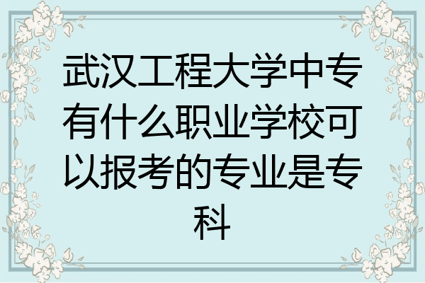 武汉工程大学中专有什么职业学校可以报考的专业是专科