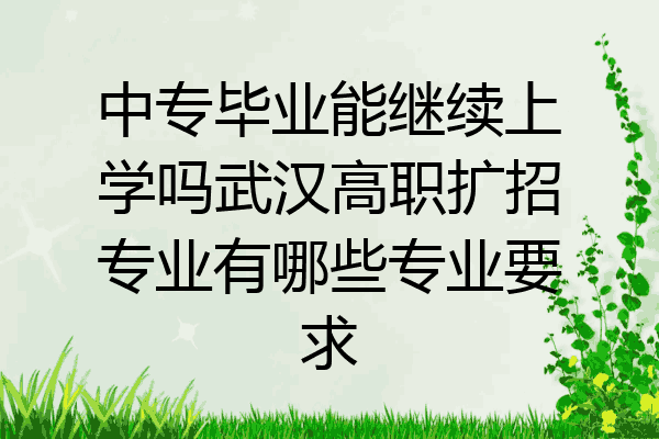 中专毕业能继续上学吗武汉高职扩招专业有哪些专业要求