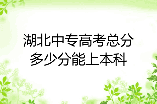 湖北中专高考总分多少分能上本科