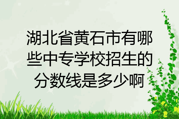 湖北省黄石市有哪些中专学校招生的分数线是多少啊