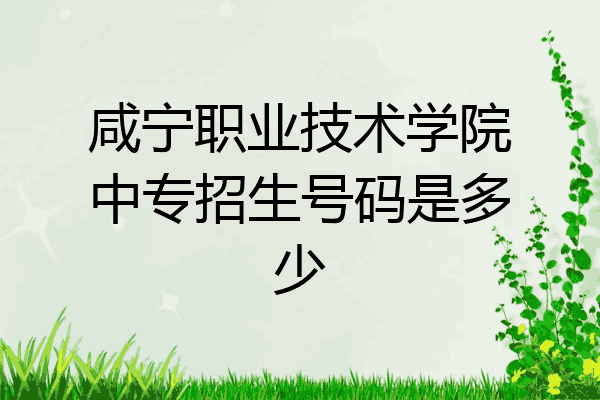 咸宁职业技术学院中专招生号码是多少