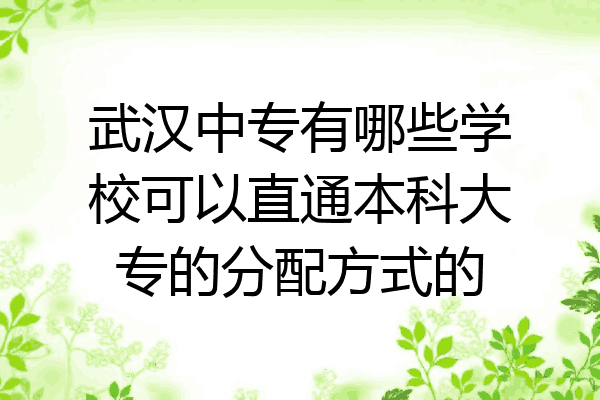 武汉中专有哪些学校可以直通本科大专的分配方式的