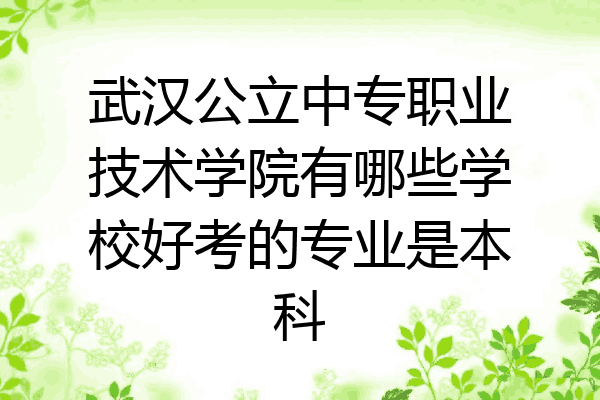 武汉公立中专职业技术学院有哪些学校好考的专业是本科