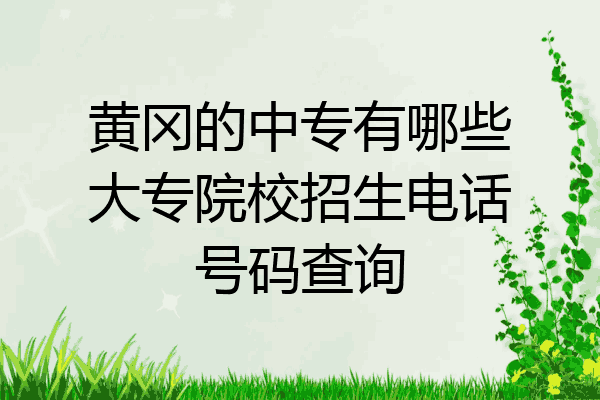 黄冈的中专有哪些大专院校招生电话号码查询