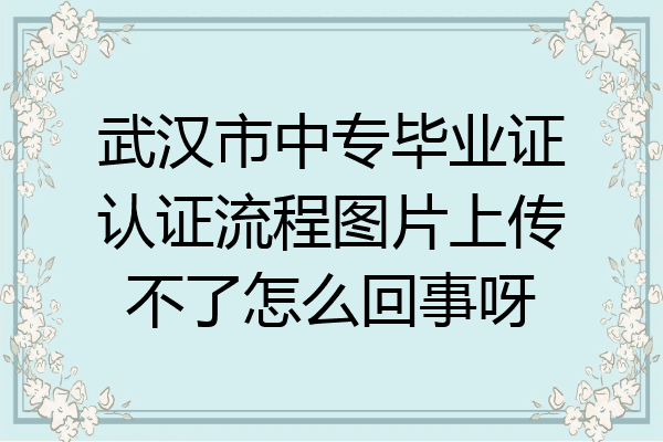 武汉市中专毕业证认证流程图片上传不了怎么回事呀