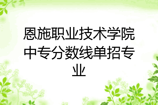 恩施职业技术学院中专分数线单招专业