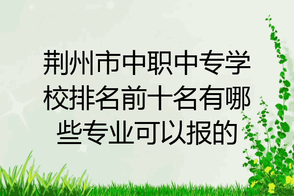 荆州市中职中专学校排名前十名有哪些专业可以报的