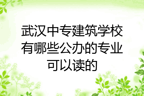 武汉中专建筑学校有哪些公办的专业可以读的