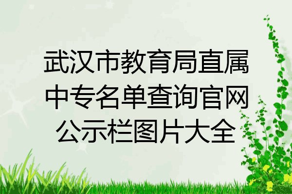 武汉市教育局直属中专名单查询官网公示栏图片大全