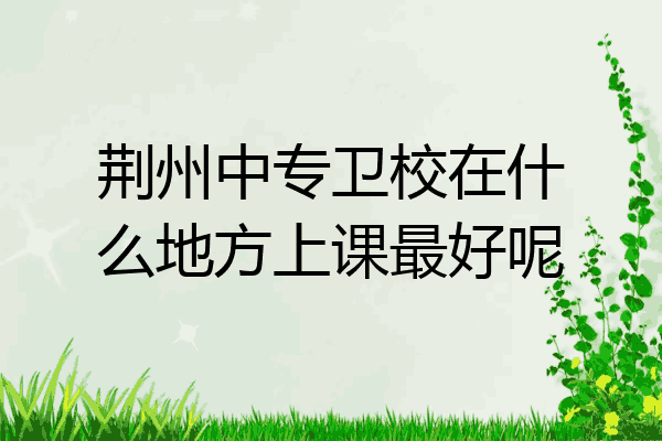荆州中专卫校在什么地方上课最好呢