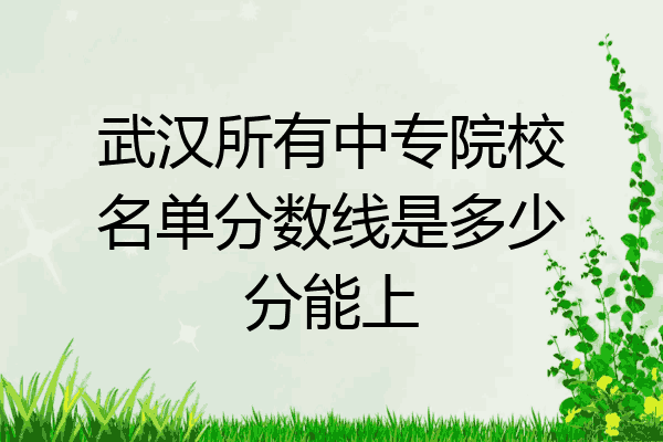 武汉所有中专院校名单分数线是多少分能上